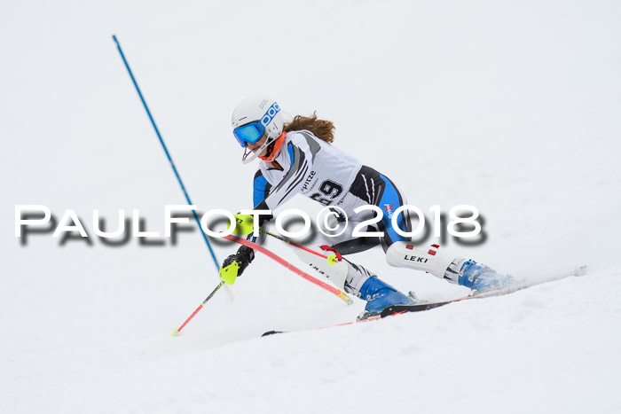 5. BZB CUP SL; WFM 2018