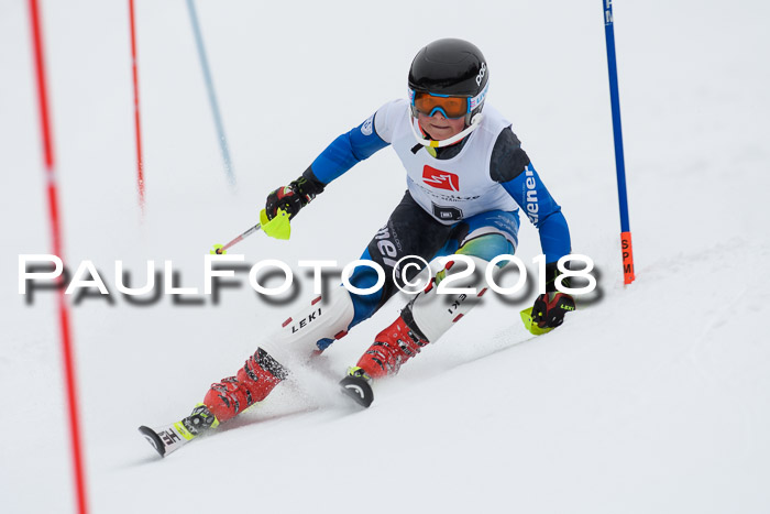 5. BZB CUP SL; WFM 2018