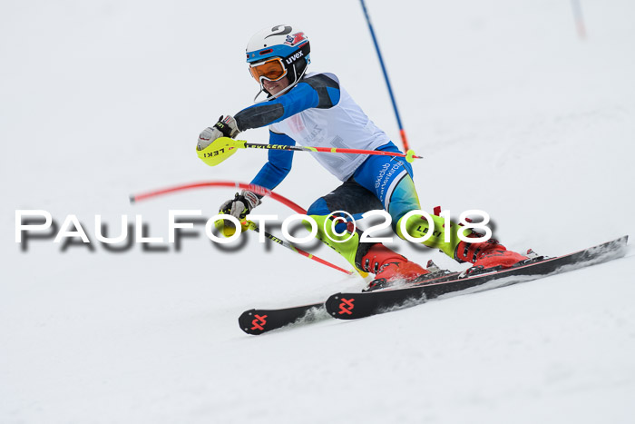 5. BZB CUP SL; WFM 2018