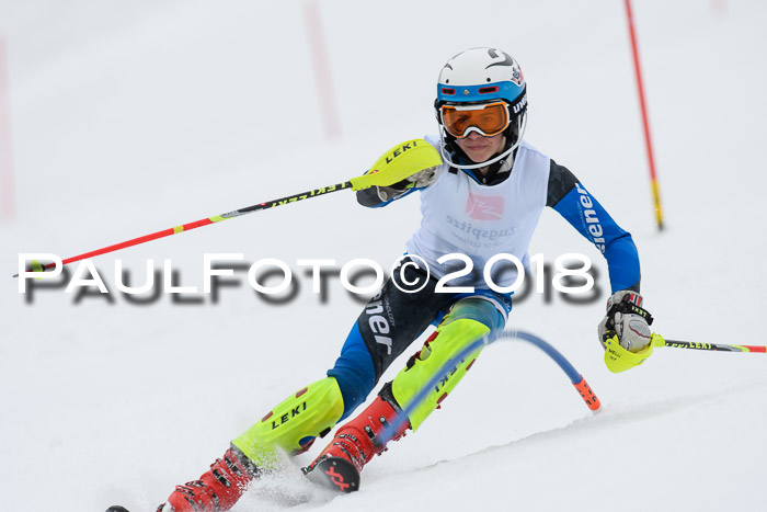 5. BZB CUP SL; WFM 2018