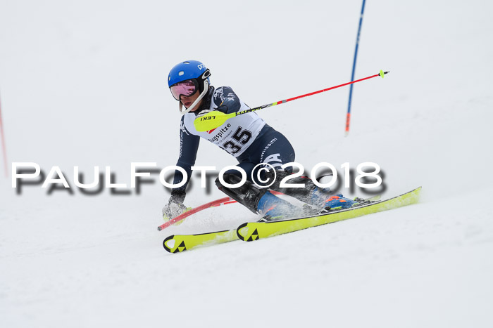 5. BZB CUP SL; WFM 2018