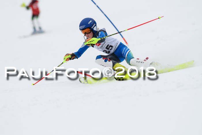 5. BZB CUP SL; WFM 2018