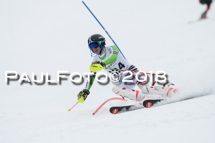 5. BZB CUP SL; WFM 2018