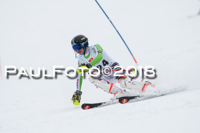 5. BZB CUP SL; WFM 2018