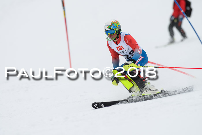 5. BZB CUP SL; WFM 2018