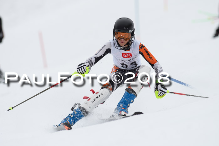 5. BZB CUP SL; WFM 2018