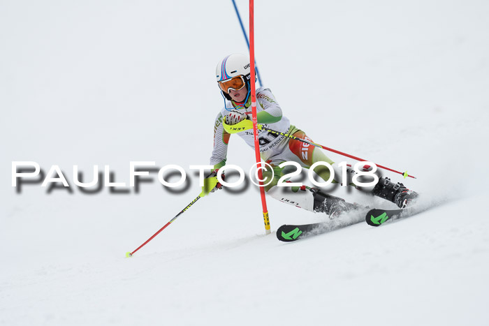 5. BZB CUP SL; WFM 2018
