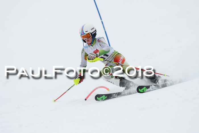 5. BZB CUP SL; WFM 2018