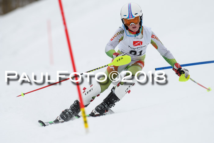 5. BZB CUP SL; WFM 2018