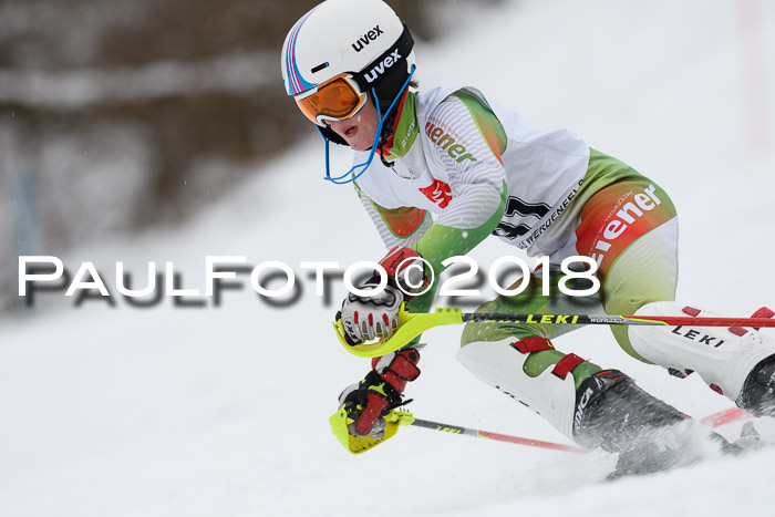 5. BZB CUP SL; WFM 2018