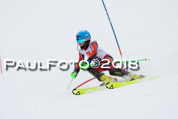 5. BZB CUP SL; WFM 2018