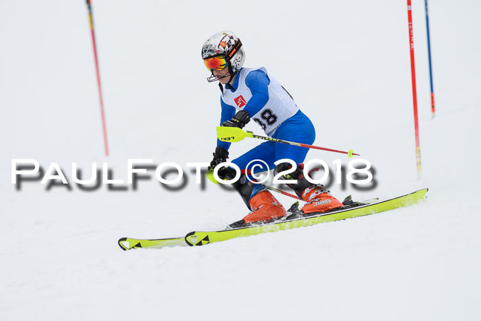 5. BZB CUP SL; WFM 2018