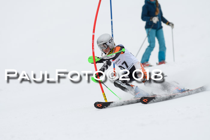 5. BZB CUP SL; WFM 2018