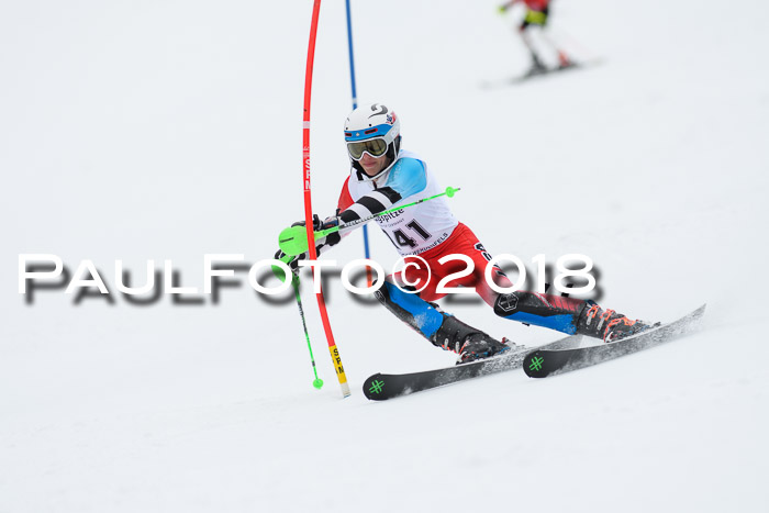 5. BZB CUP SL; WFM 2018