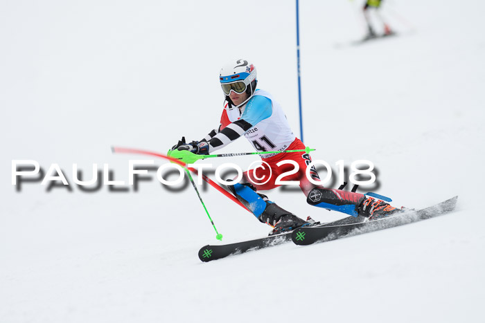 5. BZB CUP SL; WFM 2018