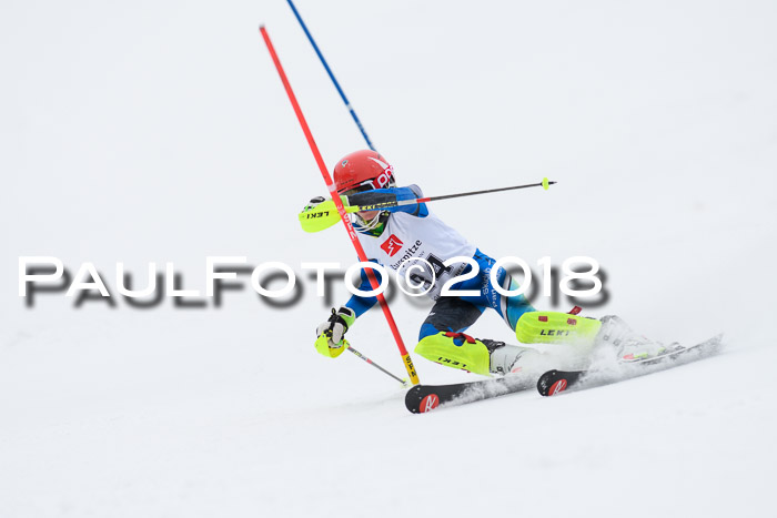 5. BZB CUP SL; WFM 2018