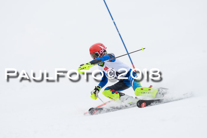5. BZB CUP SL; WFM 2018