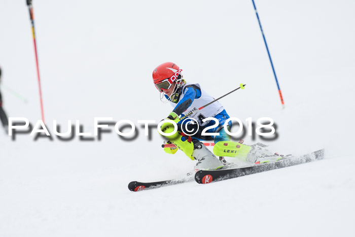 5. BZB CUP SL; WFM 2018