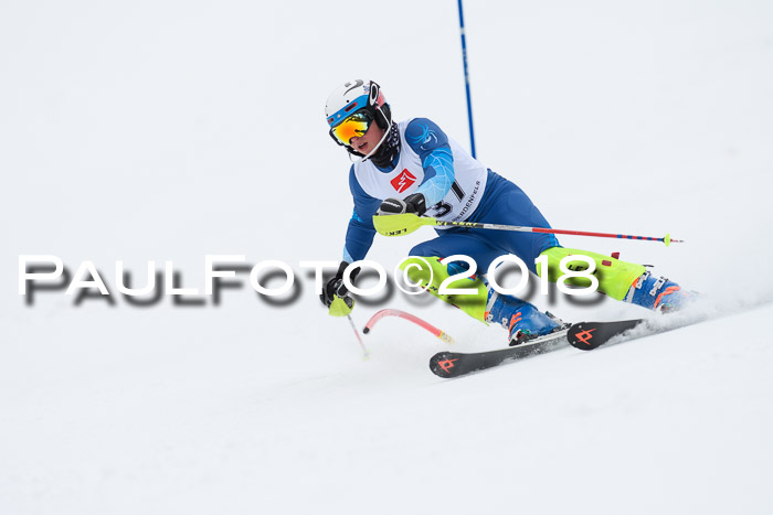 5. BZB CUP SL; WFM 2018