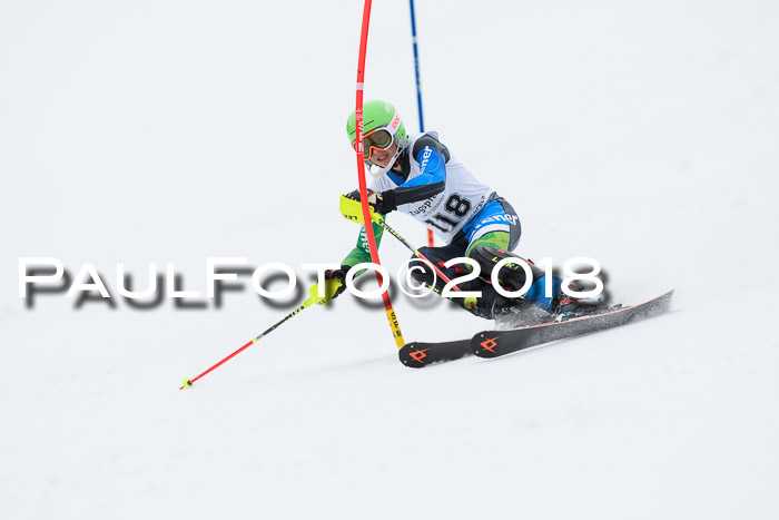5. BZB CUP SL; WFM 2018