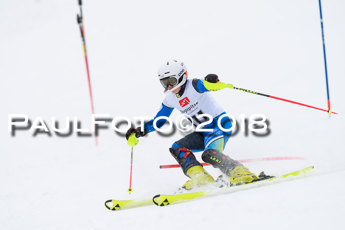 5. BZB CUP SL; WFM 2018