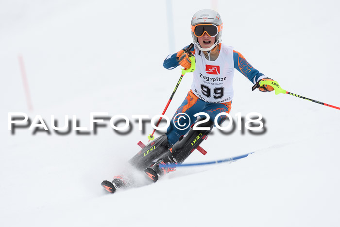 5. BZB CUP SL; WFM 2018