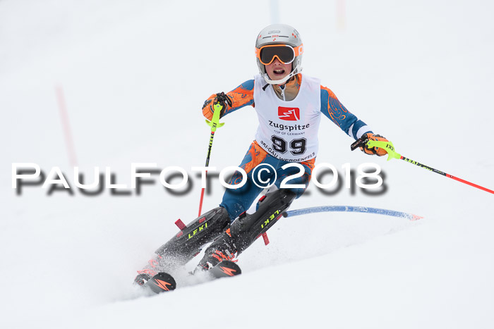 5. BZB CUP SL; WFM 2018