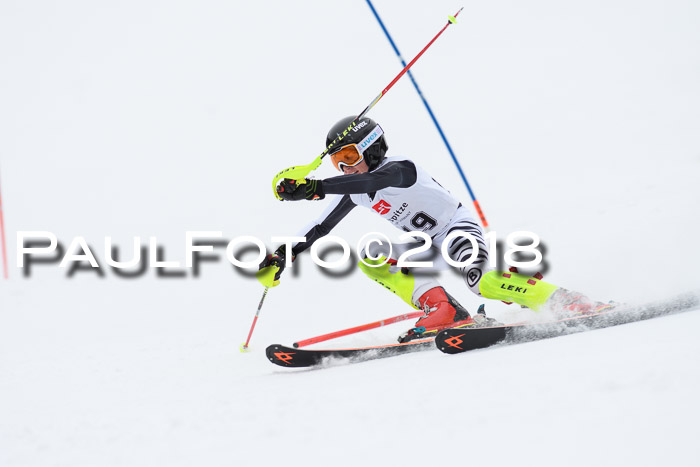 5. BZB CUP SL; WFM 2018