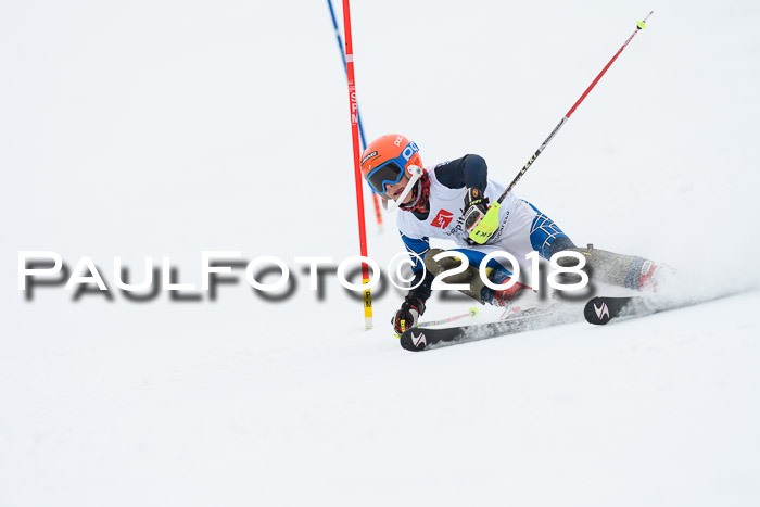 5. BZB CUP SL; WFM 2018
