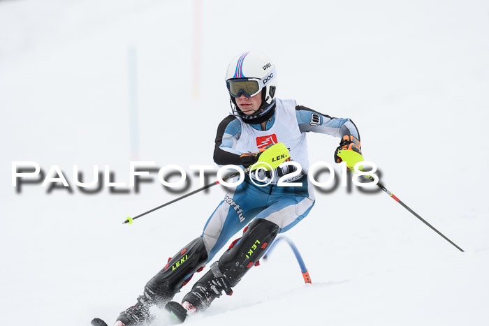 5. BZB CUP SL; WFM 2018