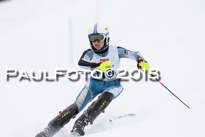 5. BZB CUP SL; WFM 2018