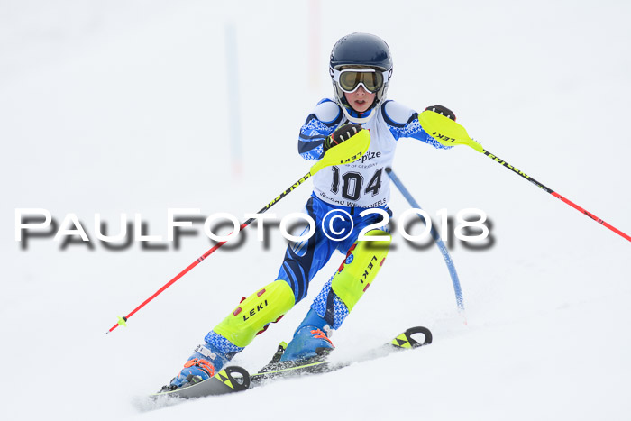 5. BZB CUP SL; WFM 2018
