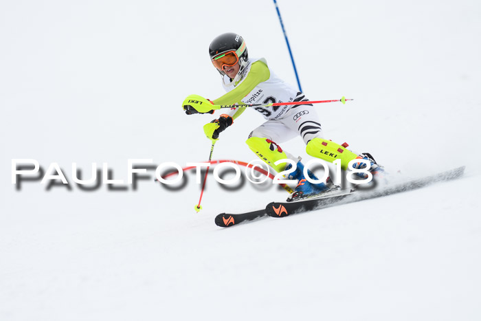 5. BZB CUP SL; WFM 2018
