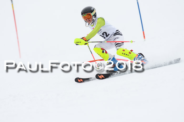 5. BZB CUP SL; WFM 2018