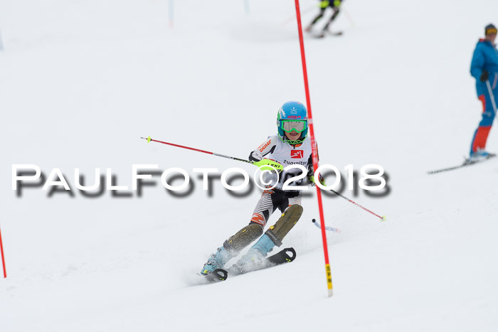 5. BZB CUP SL; WFM 2018