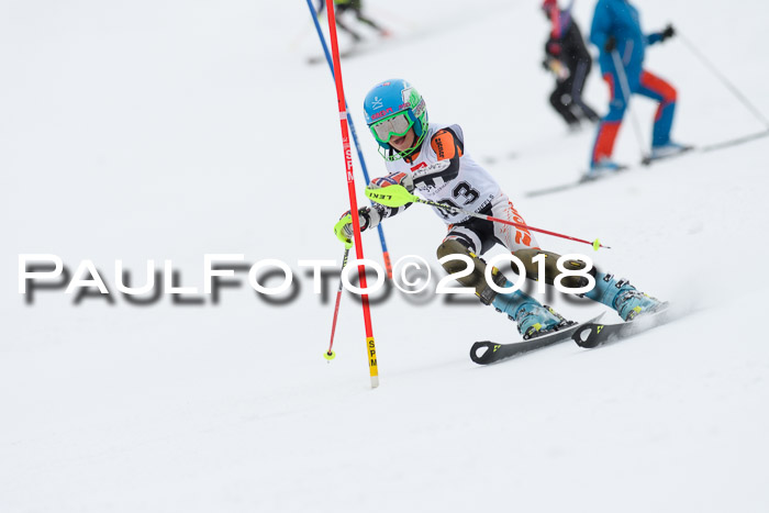 5. BZB CUP SL; WFM 2018