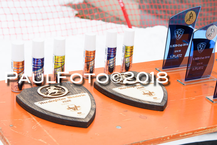 5. BZB CUP SL; WFM 2018