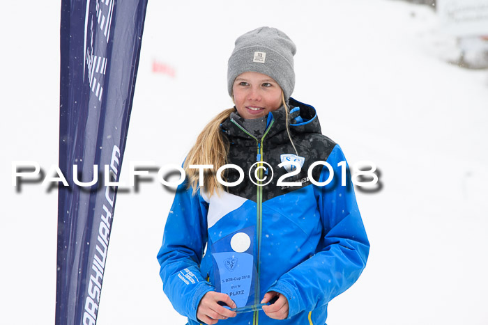 5. BZB CUP SL; WFM 2018
