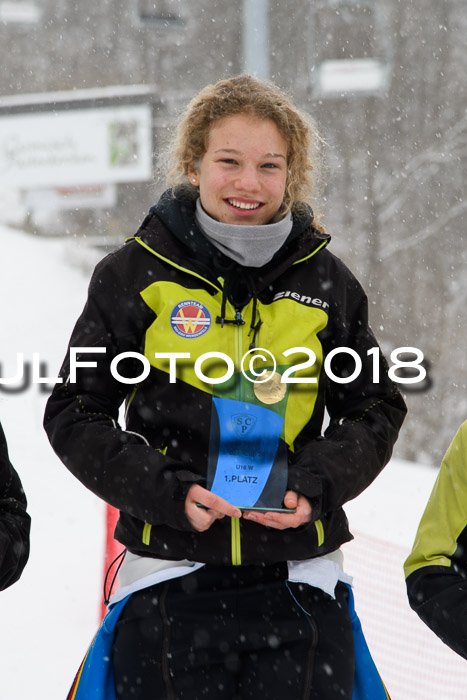 5. BZB CUP SL; WFM 2018