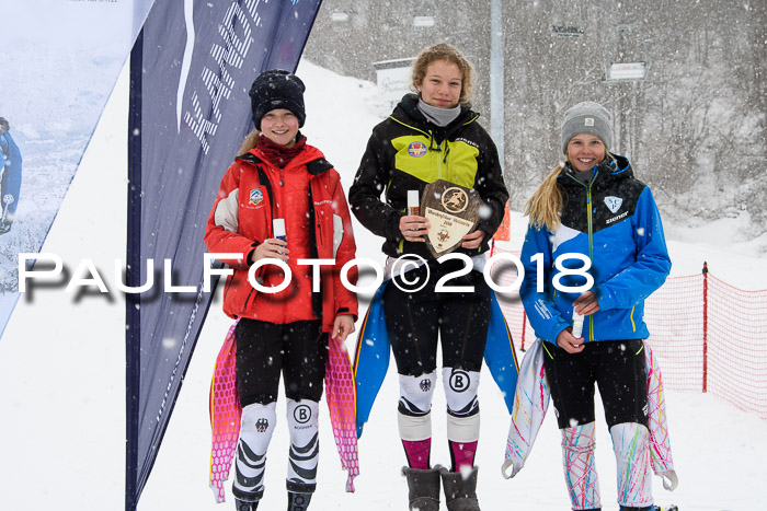 5. BZB CUP SL; WFM 2018