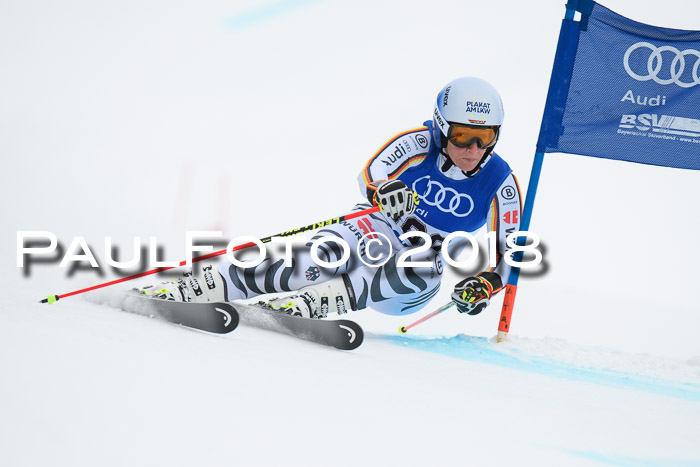 FIS Riesenslalom, Damen + Herren, Oberjoch, 15.02.2018