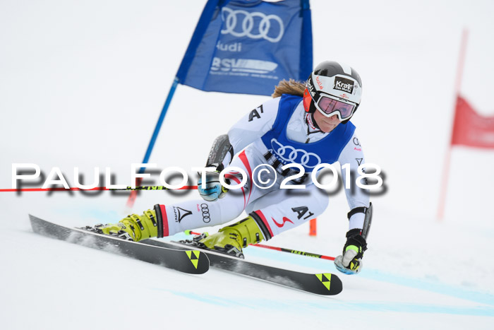 FIS Riesenslalom, Damen + Herren, Oberjoch, 15.02.2018