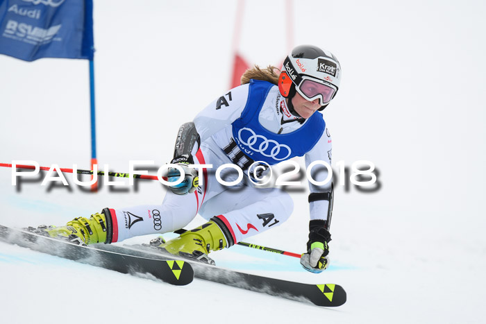 FIS Riesenslalom, Damen + Herren, Oberjoch, 15.02.2018