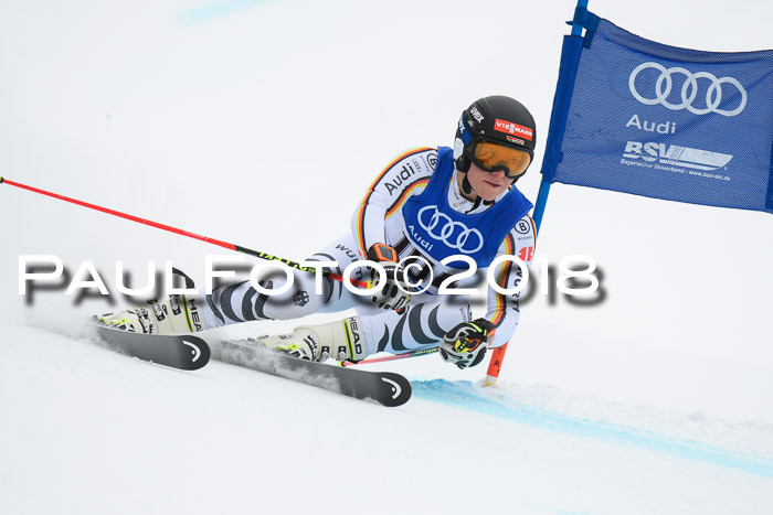 FIS Riesenslalom, Damen + Herren, Oberjoch, 15.02.2018