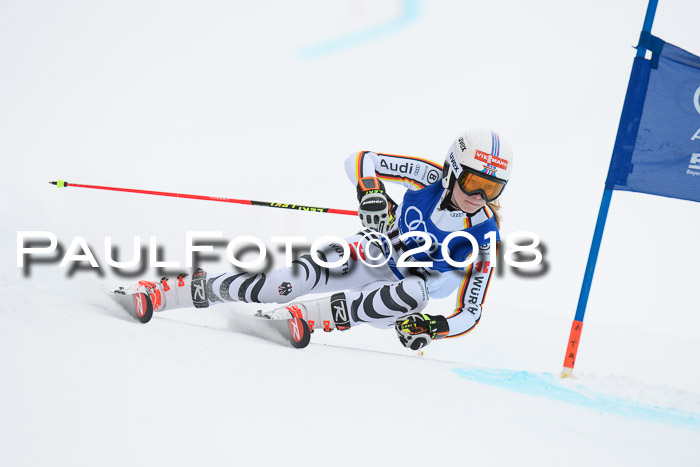 FIS Riesenslalom, Damen + Herren, Oberjoch, 15.02.2018