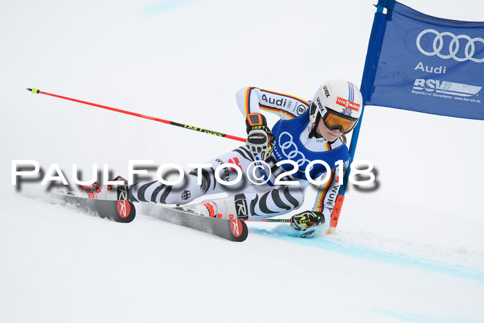 FIS Riesenslalom, Damen + Herren, Oberjoch, 15.02.2018