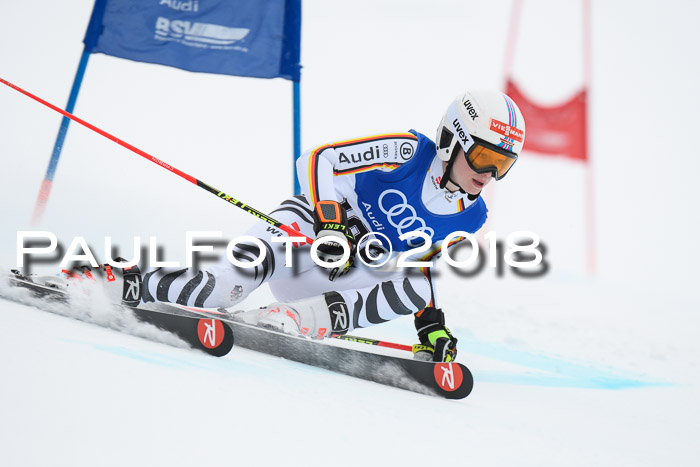 FIS Riesenslalom, Damen + Herren, Oberjoch, 15.02.2018