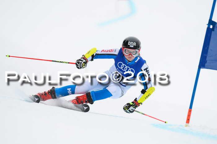 FIS Riesenslalom, Damen + Herren, Oberjoch, 15.02.2018