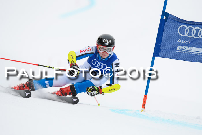 FIS Riesenslalom, Damen + Herren, Oberjoch, 15.02.2018