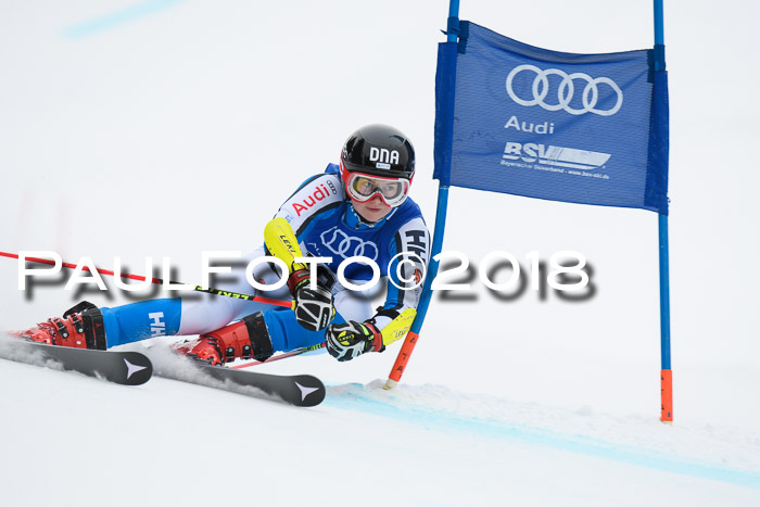 FIS Riesenslalom, Damen + Herren, Oberjoch, 15.02.2018